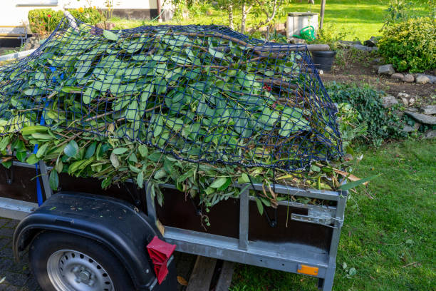 Best Recycling Services for Junk  in Princeton, NJ